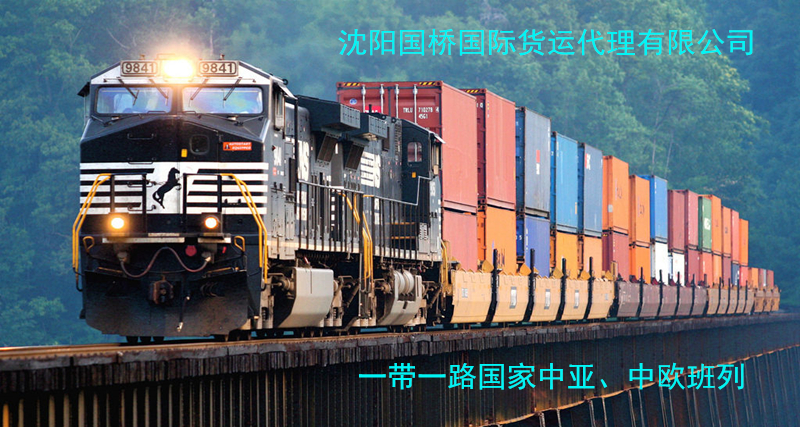 到塔吉克斯坦中亚欧宝注册铁路沈阳国桥物流公司货运代理协会



