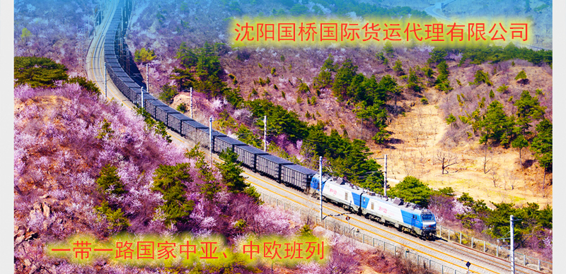 到塔吉欧宝注册克斯坦中亚铁路沈阳国桥物流公司货运代理协会



